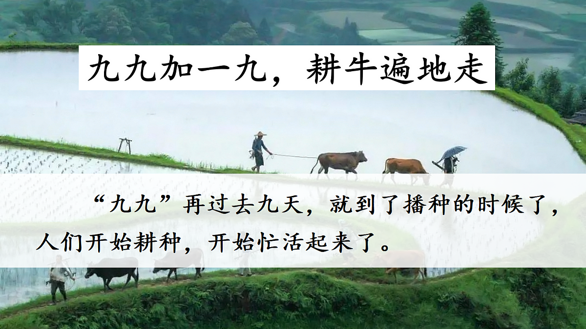 18638400第5页