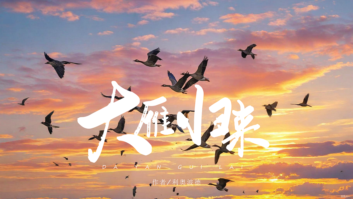 18639046第1页