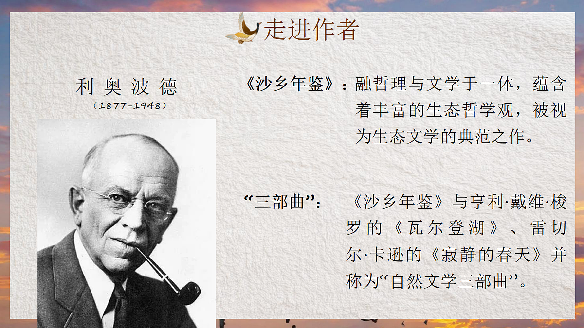 18639046第8页