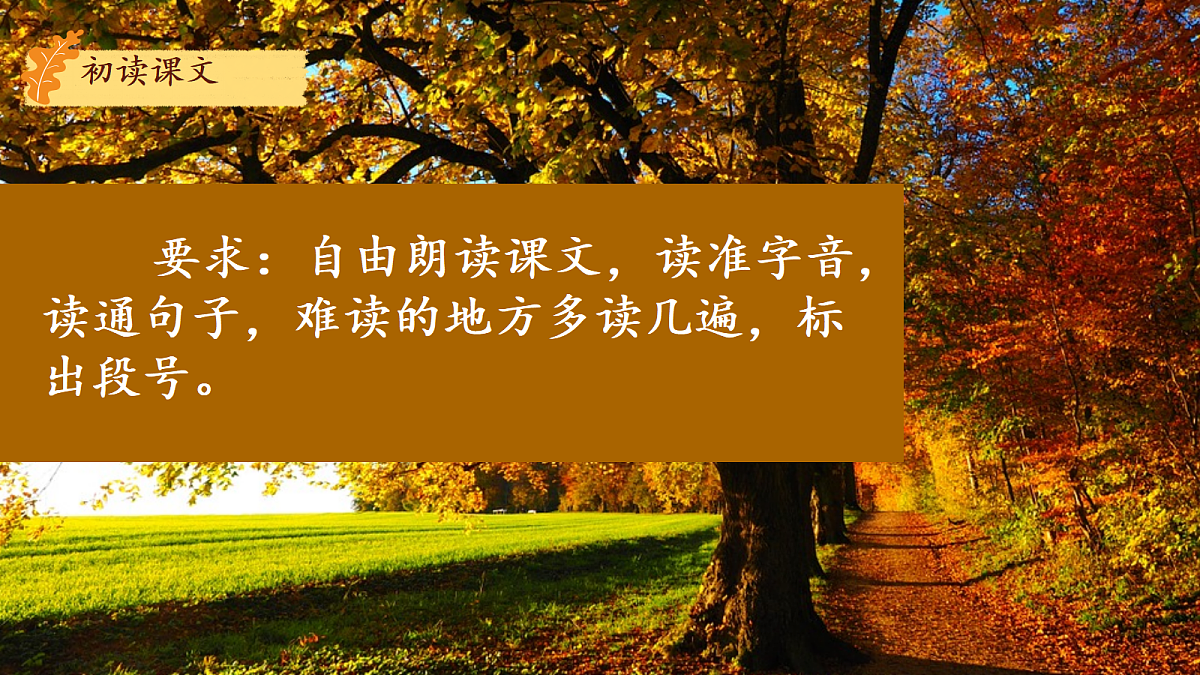 18639188第3页