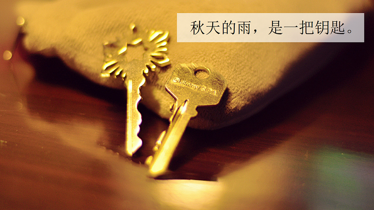 18639381第6页