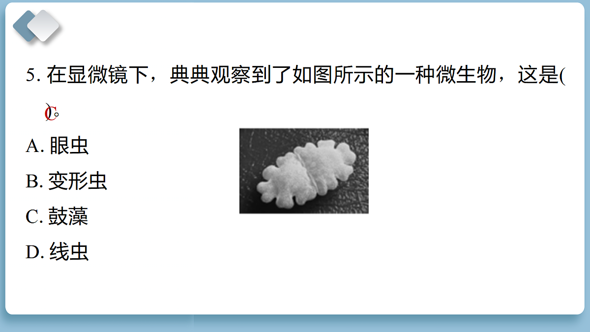 18639828第7页