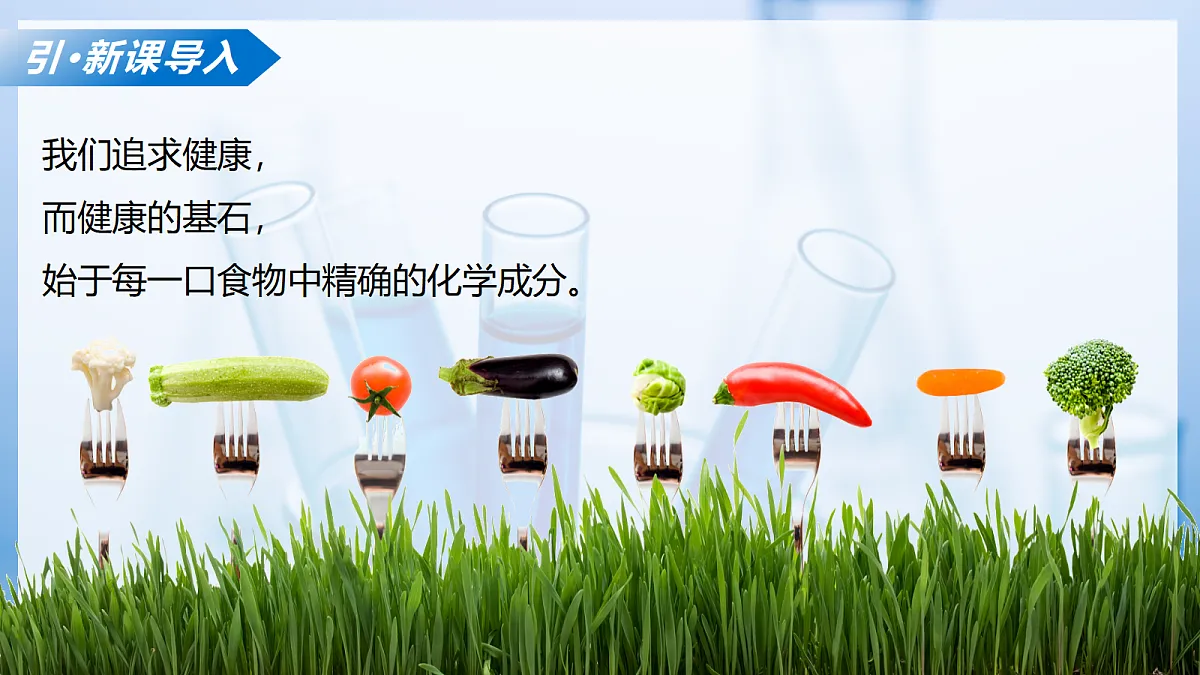 课题2 健康生活离不开化学（教学课件）化学沪科版五四学制 2024九年级全一册第4页