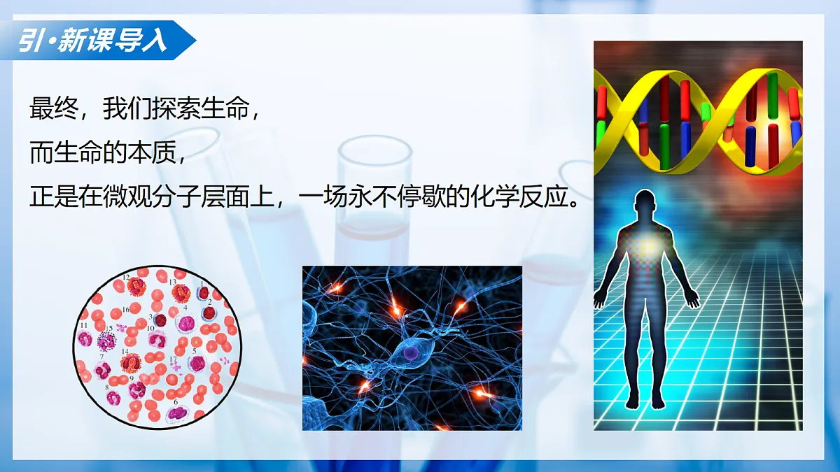 课题2 健康生活离不开化学（教学课件）化学沪科版五四学制 2024九年级全一册第6页
