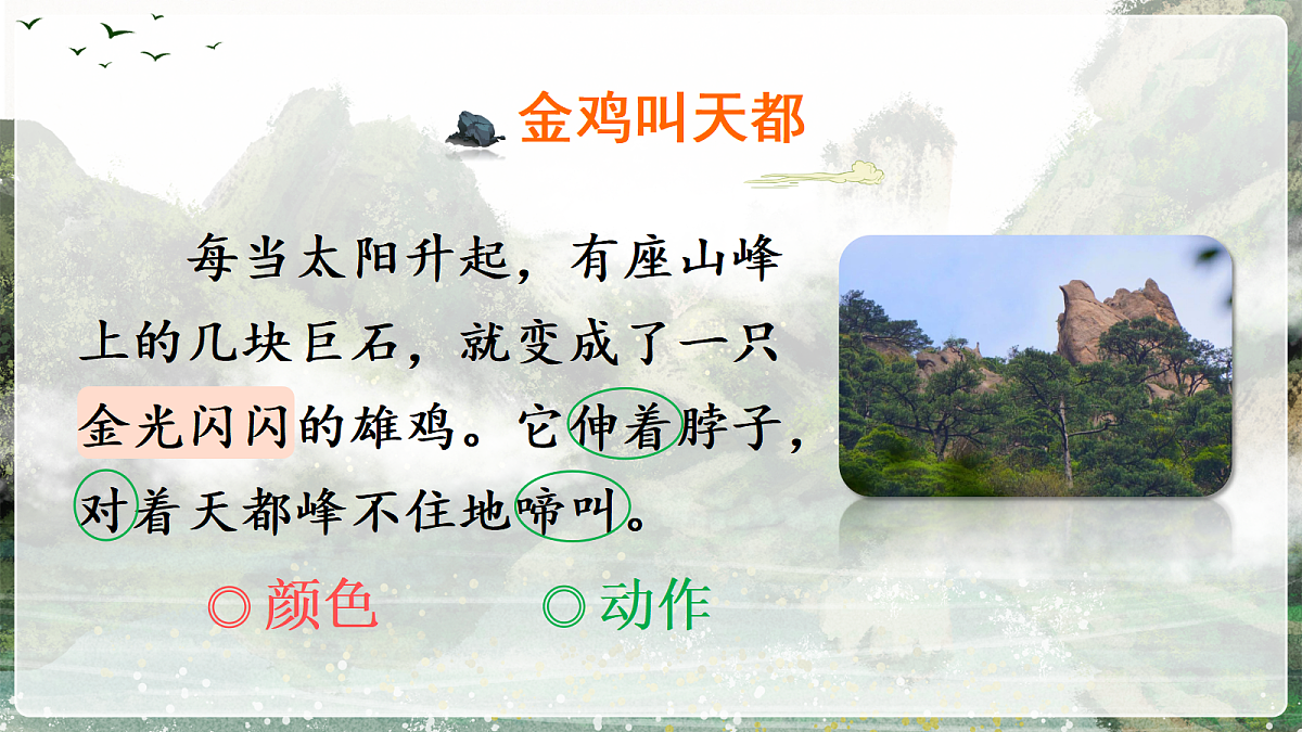 18641239第6页