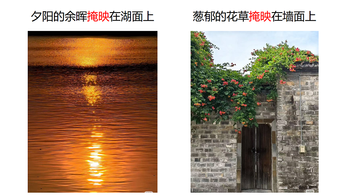 18641426第6页
