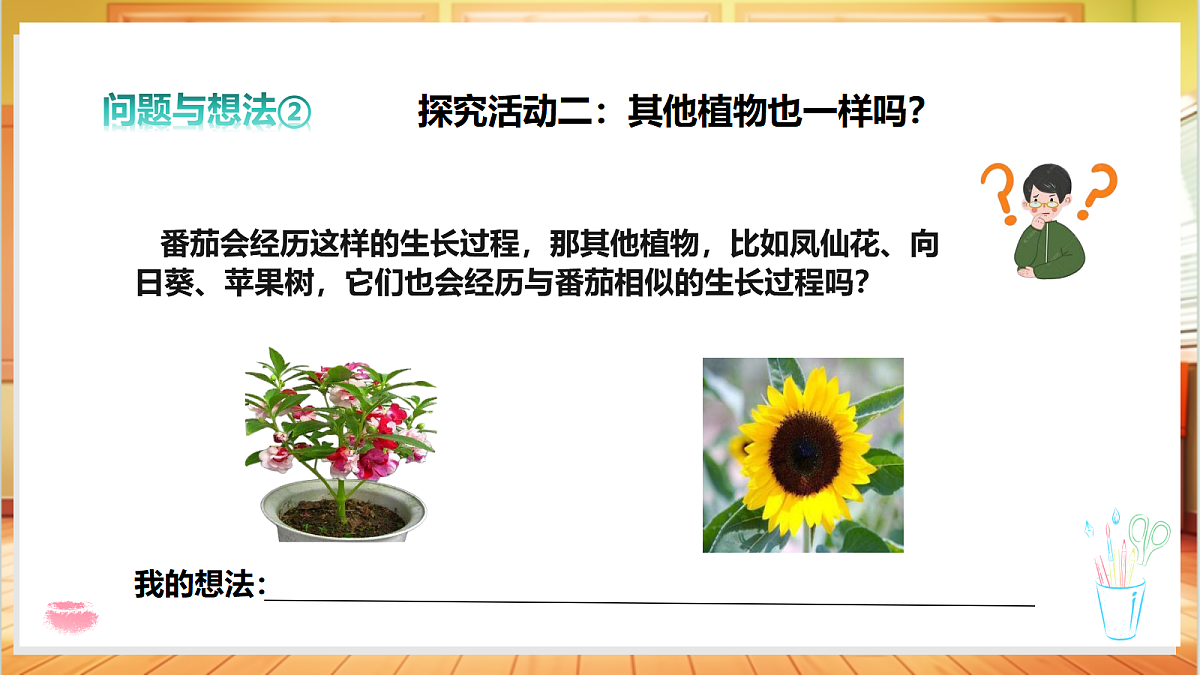 2.5 番茄的一生（教学课件）【含交互动画】科学粤教粤科版四年级上册（新教材）第8页