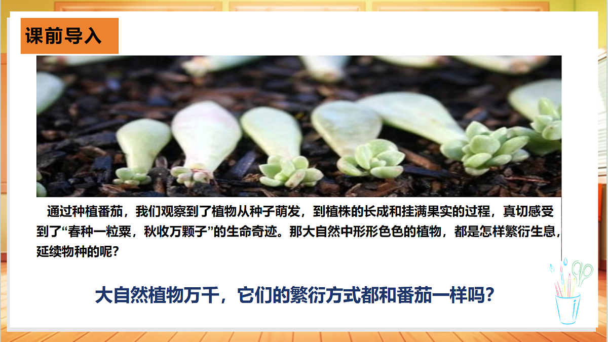 2.6 植物的繁殖（教学课件）科学粤教粤科版四年级上册（新教材）第3页