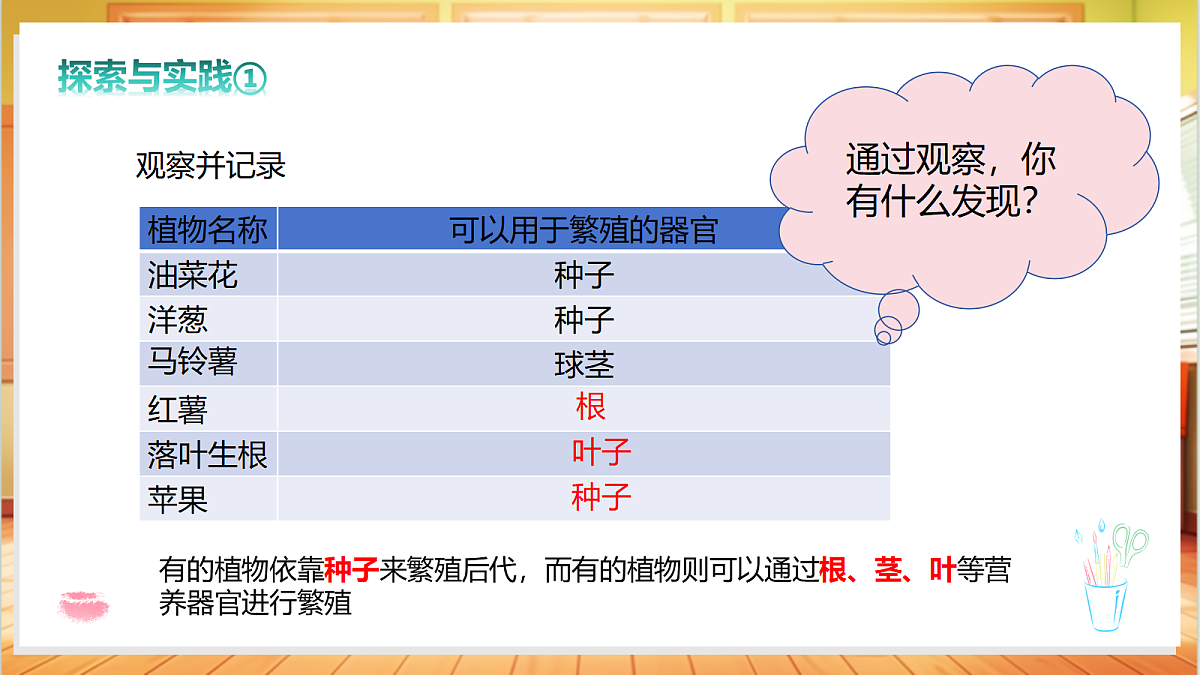 2.6 植物的繁殖（教学课件）科学粤教粤科版四年级上册（新教材）第7页