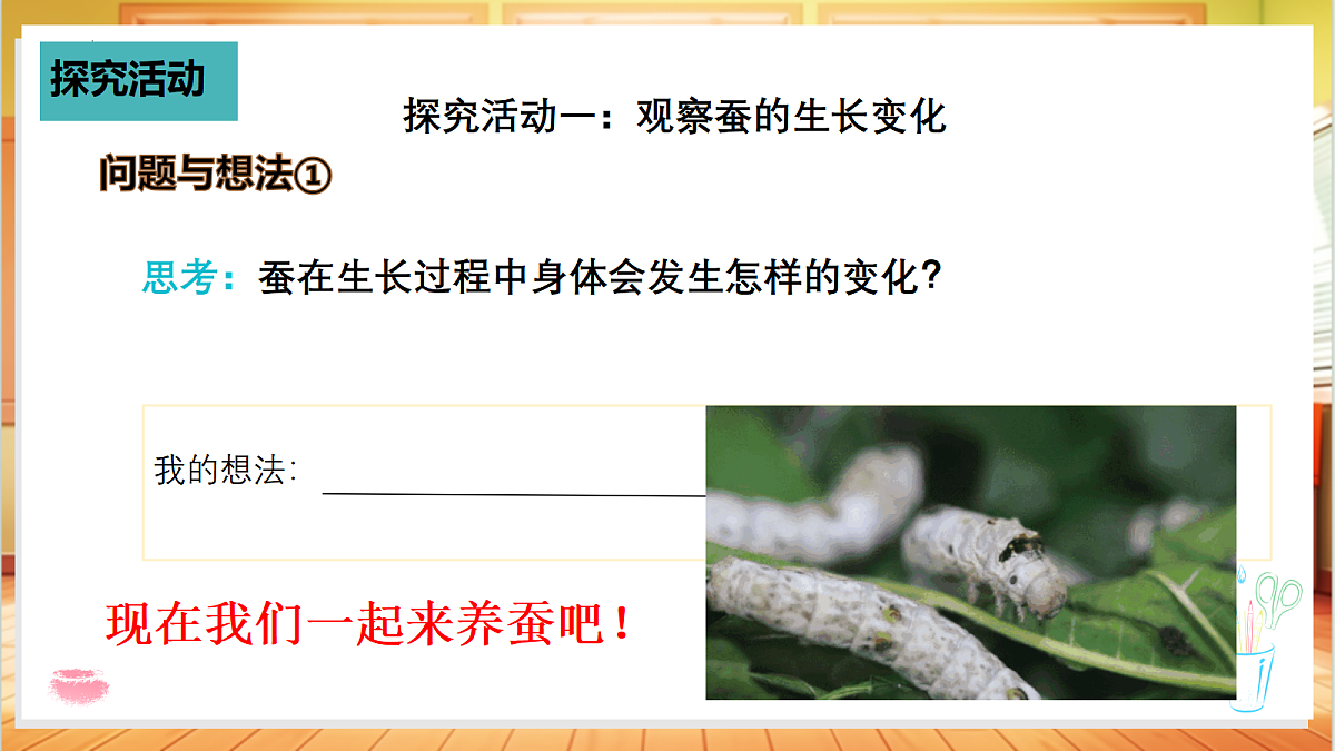 2.8 蚕的一生（教学课件）科学粤教粤科版四年级上册（新教材）第5页