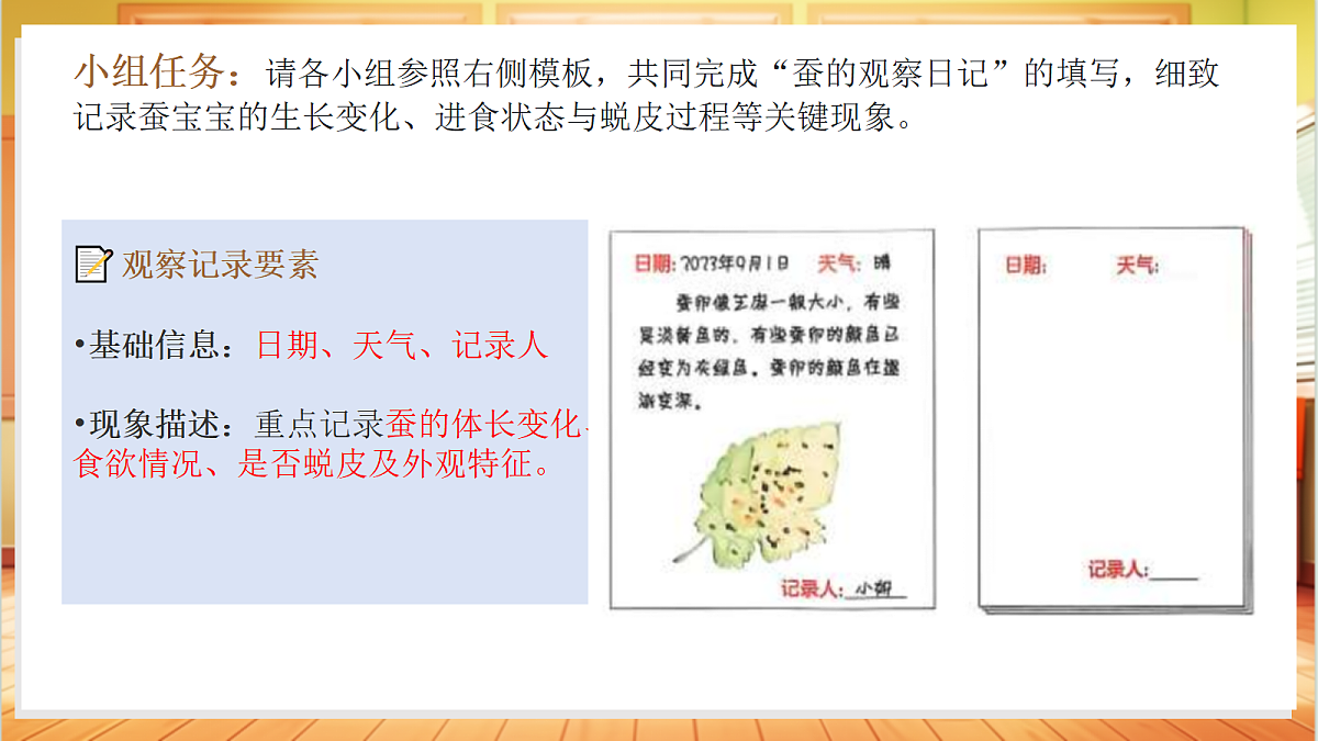 2.8 蚕的一生（教学课件）科学粤教粤科版四年级上册（新教材）第8页