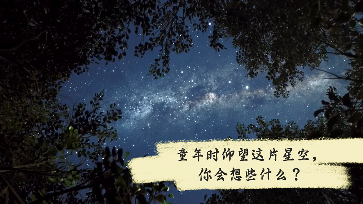 18641703第1页