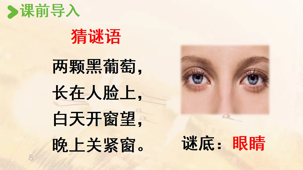 【教学课件】《口语交际》：爱护眼睛，保护视力第2页