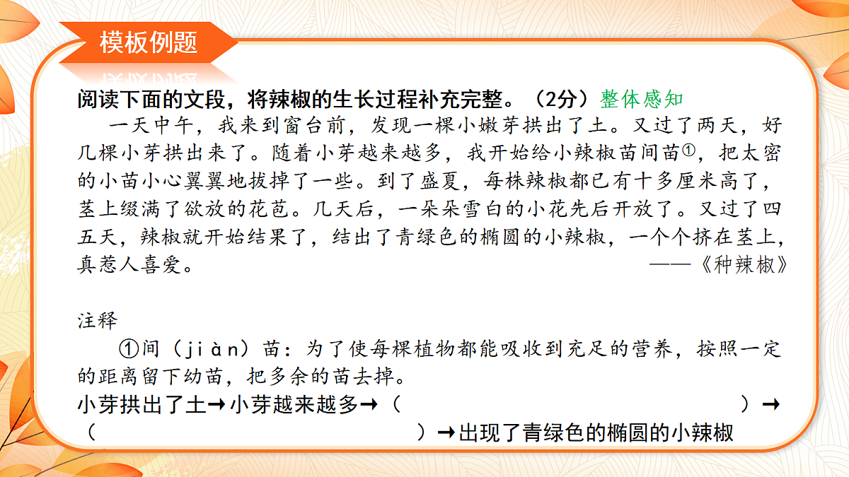 18641782第5页