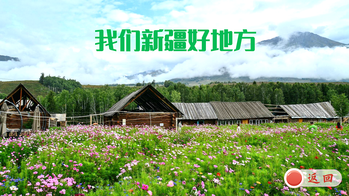 18643920第3页