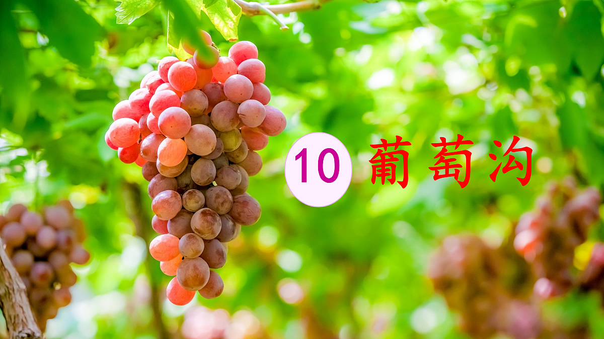 18643920第5页