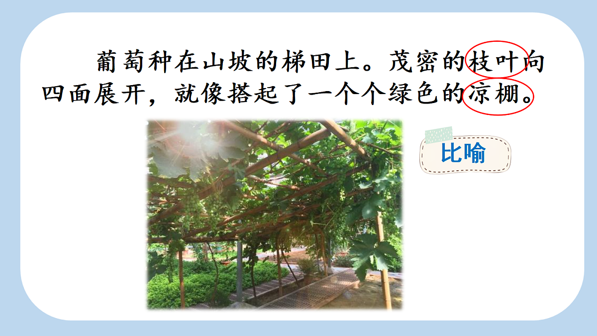 18643924第3页