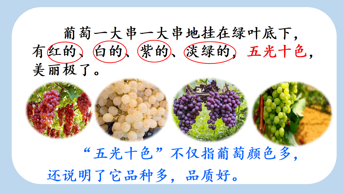 18643924第4页