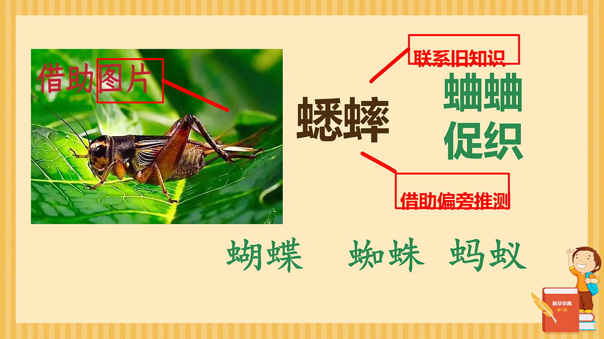18644677第7页