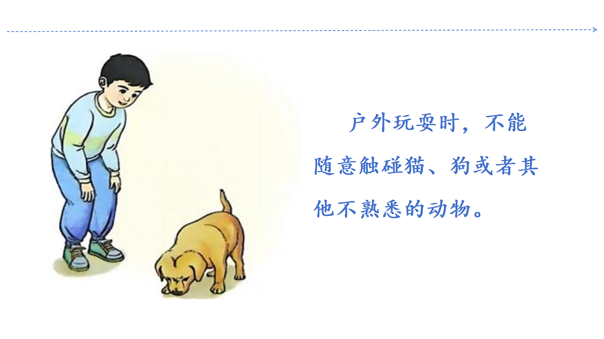 18645619第8页