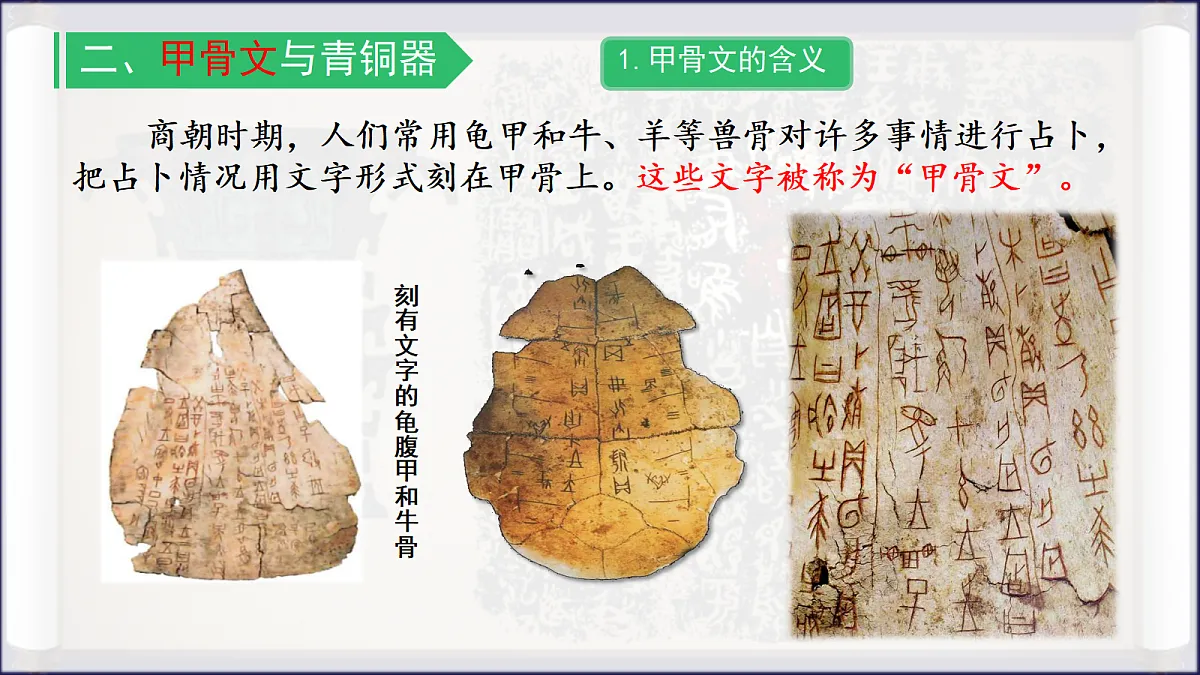 18646557第6页