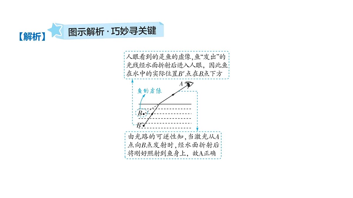 18646702第3页