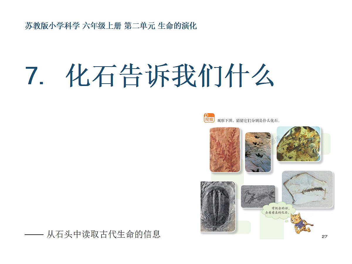18647566第1页