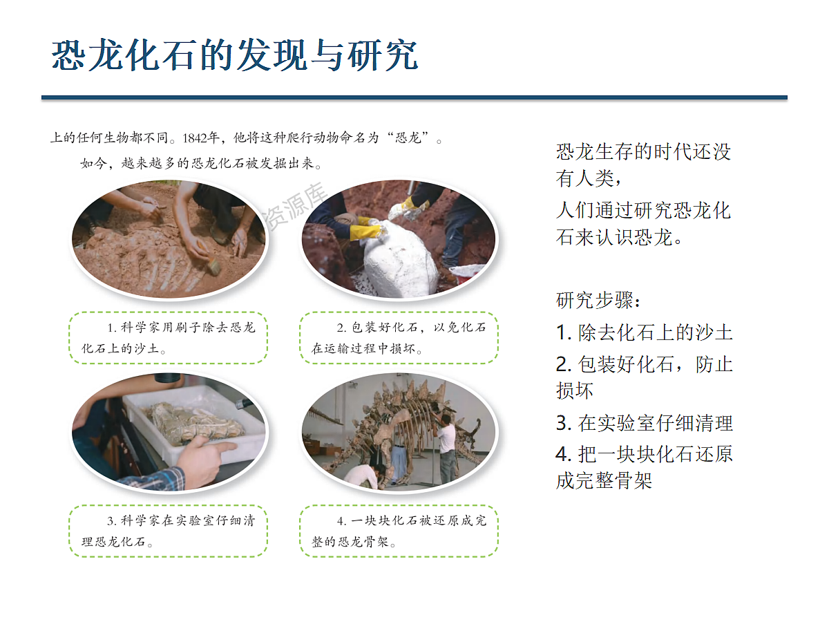 18647566第5页