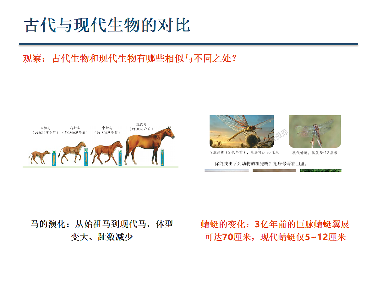 18647569第4页