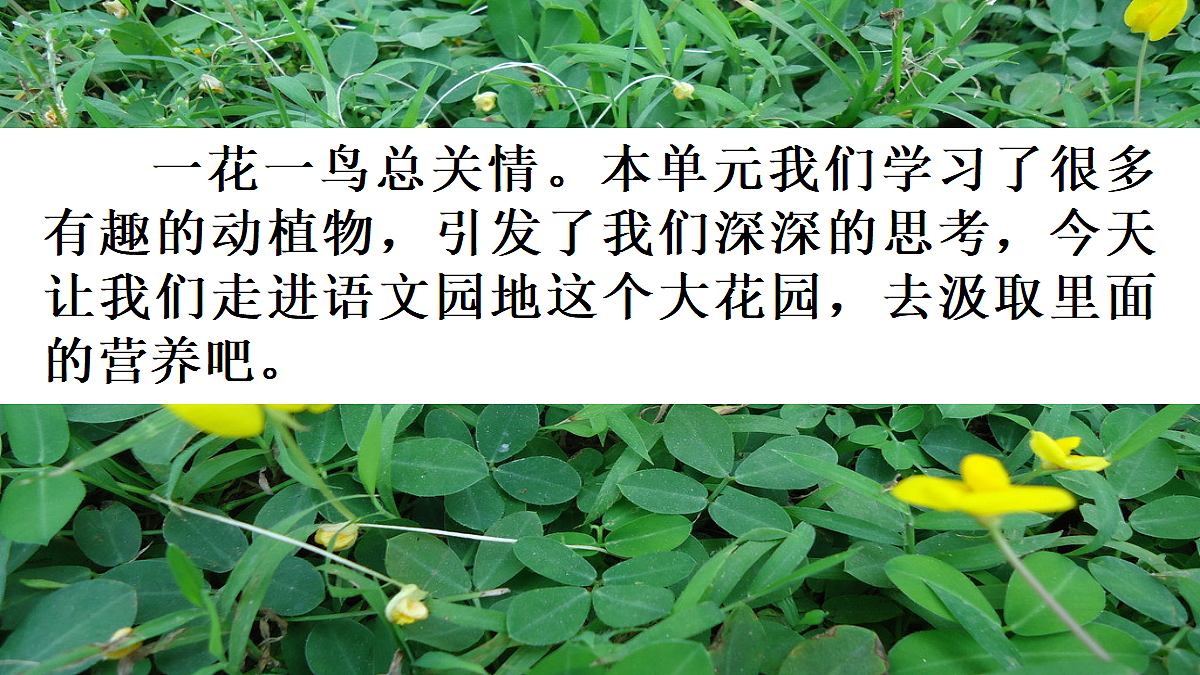 18652368第1页
