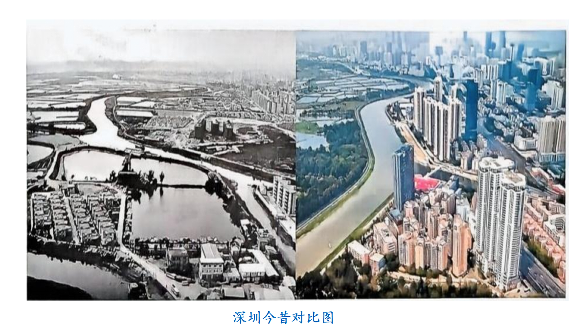 18655976第4页