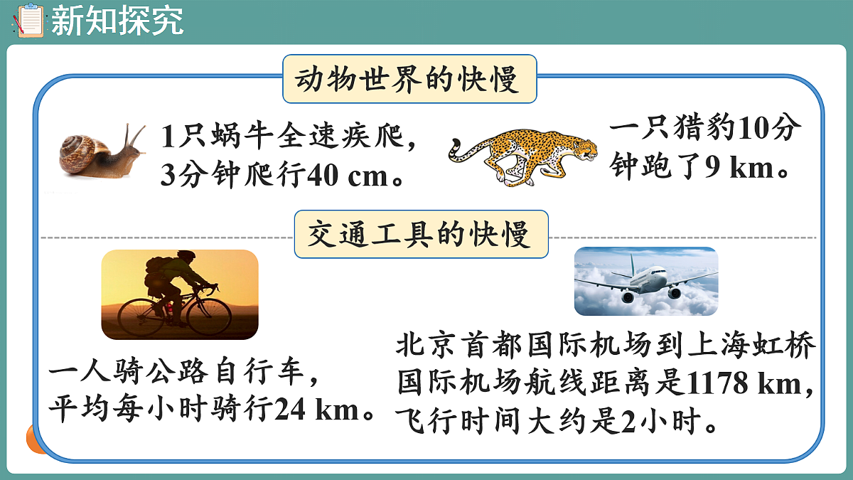 18656099第5页