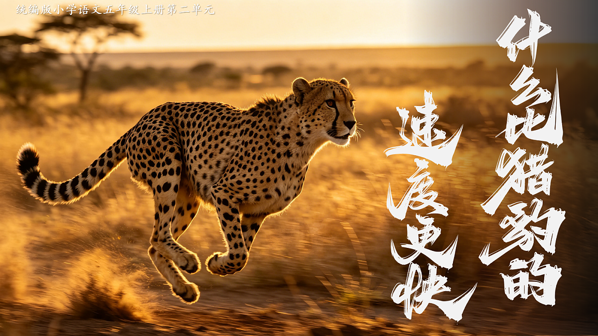 6.什么比猎豹的速度更快第6页