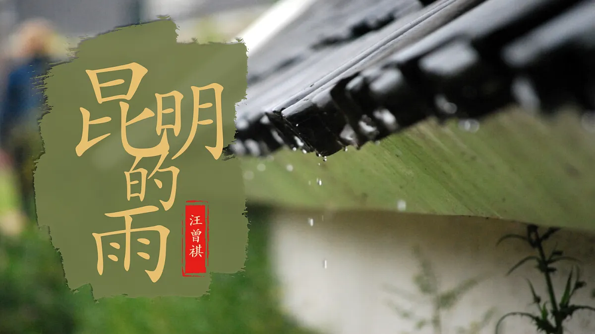 18657034第2页