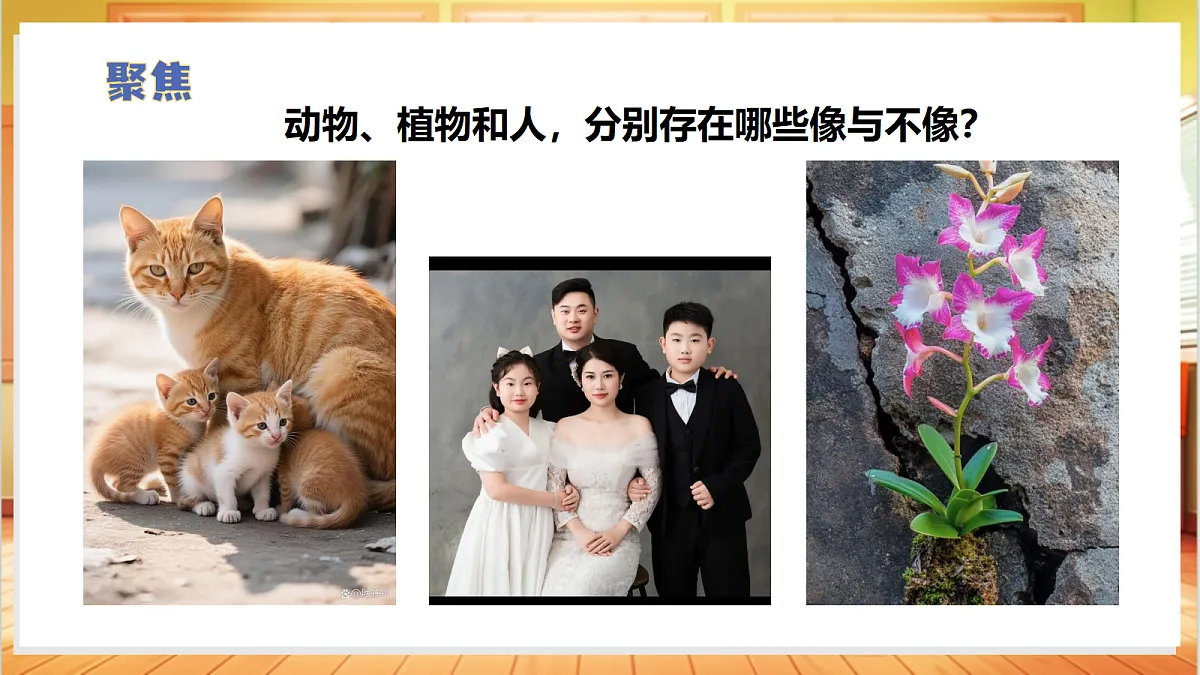 2.5 像与不像（教学课件）科学苏教版六年级上册（新教材）第5页