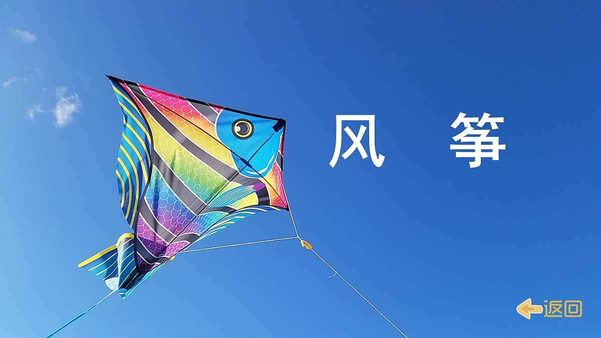 18658516第4页