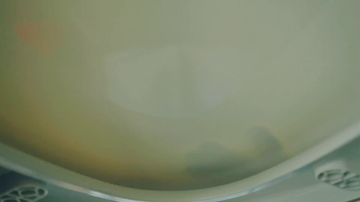18660218第5页