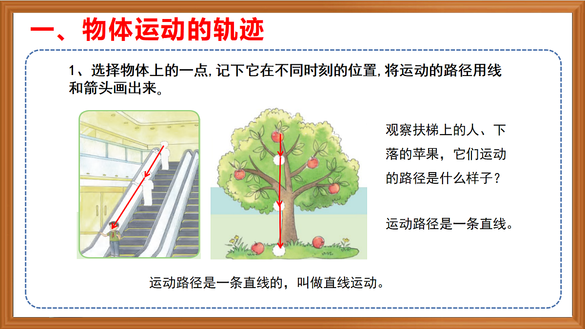 苏教版小学科学四年级上册第二单元《6 不同的运动 》课件+视频+作业第4页