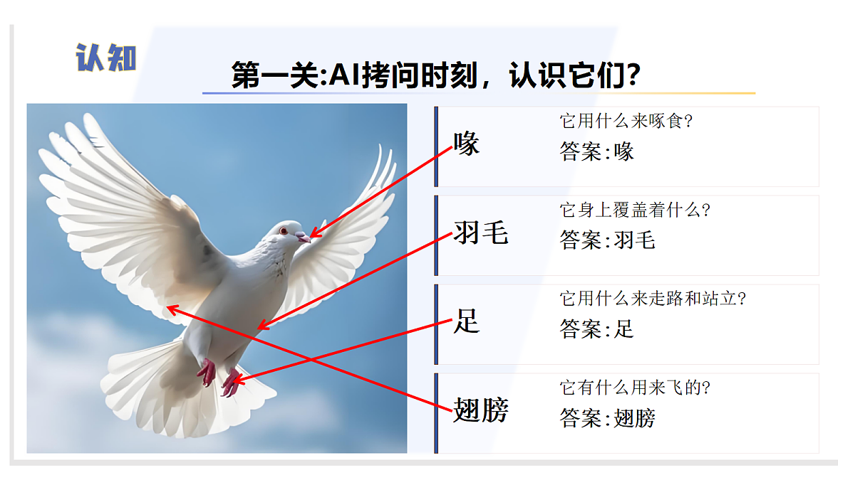 1.3 鸟类（教学课件）科学苏教版四年级上册（新教材）第7页