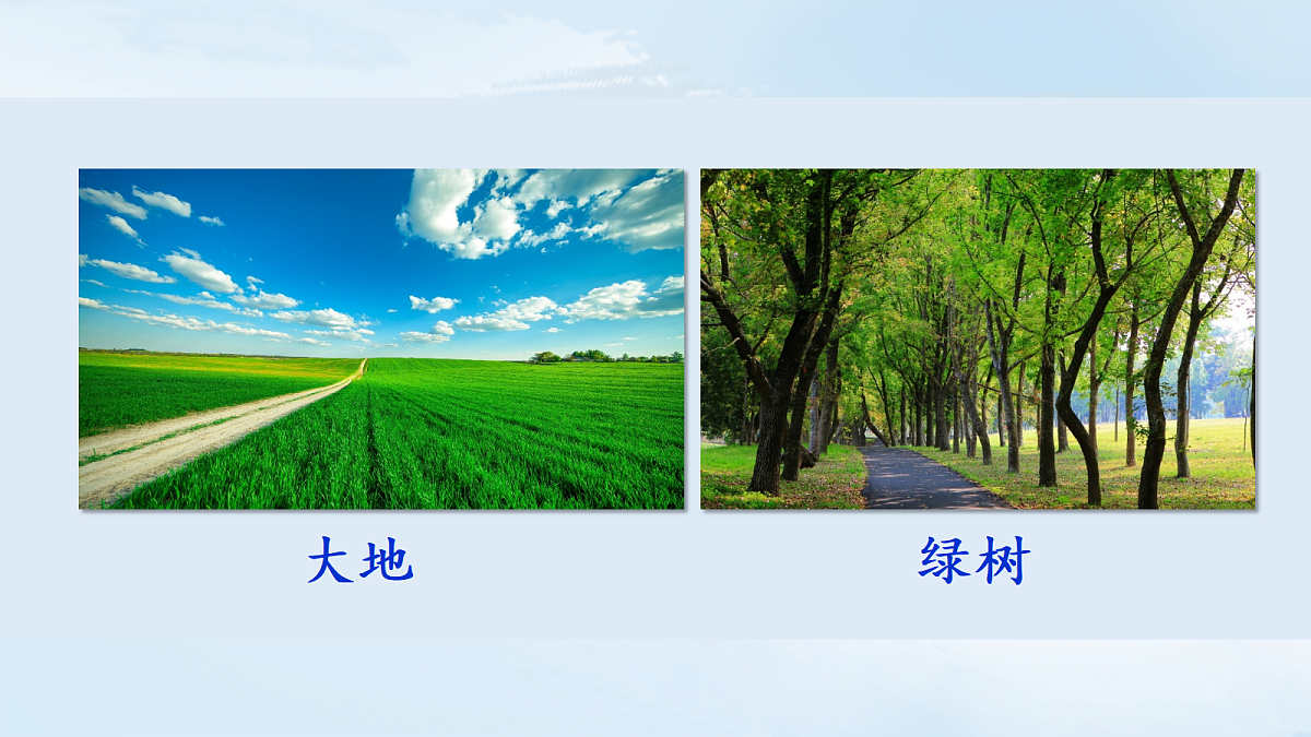 18666361第6页