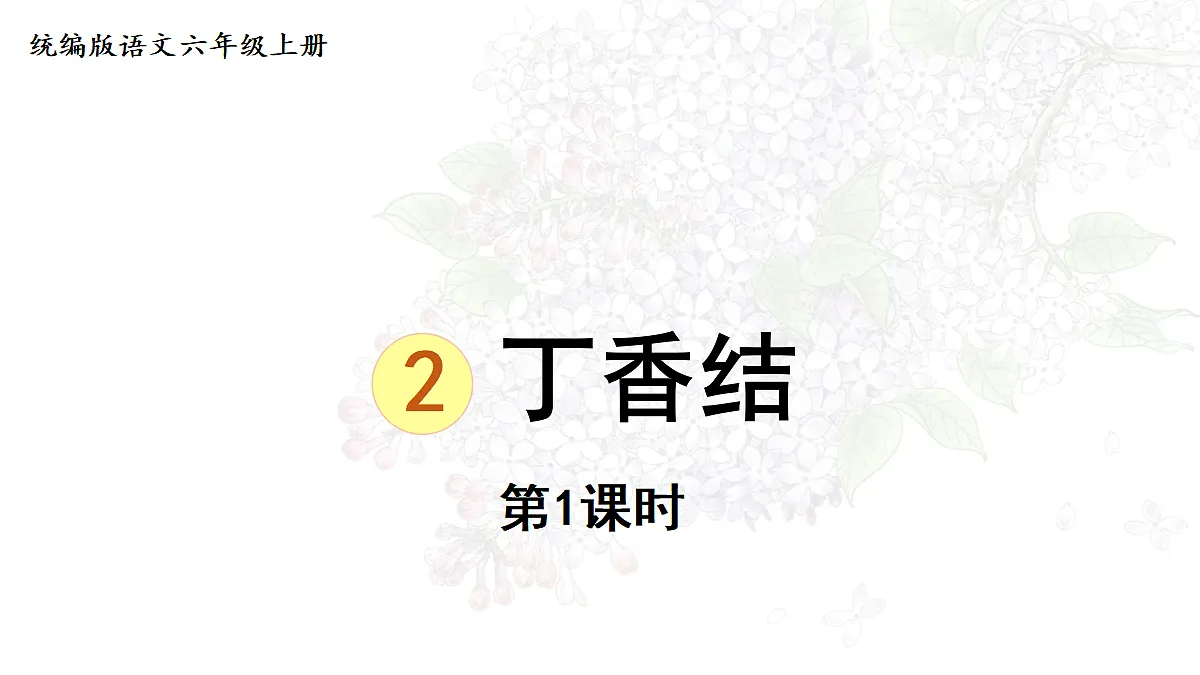 【教学课件】2.丁香结 第1课时第1页