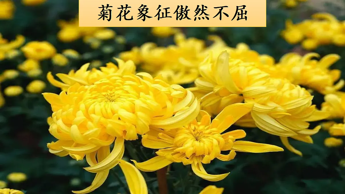 【教学课件】2.丁香结 第1课时第2页