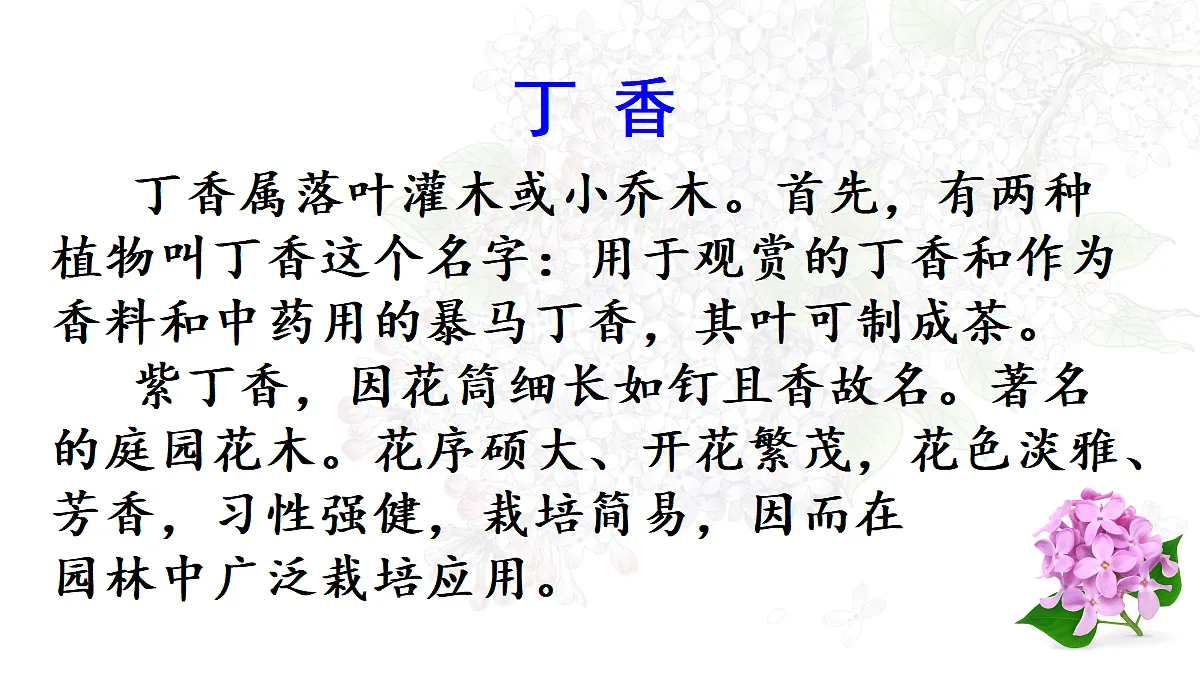 【教学课件】2.丁香结 第1课时第5页