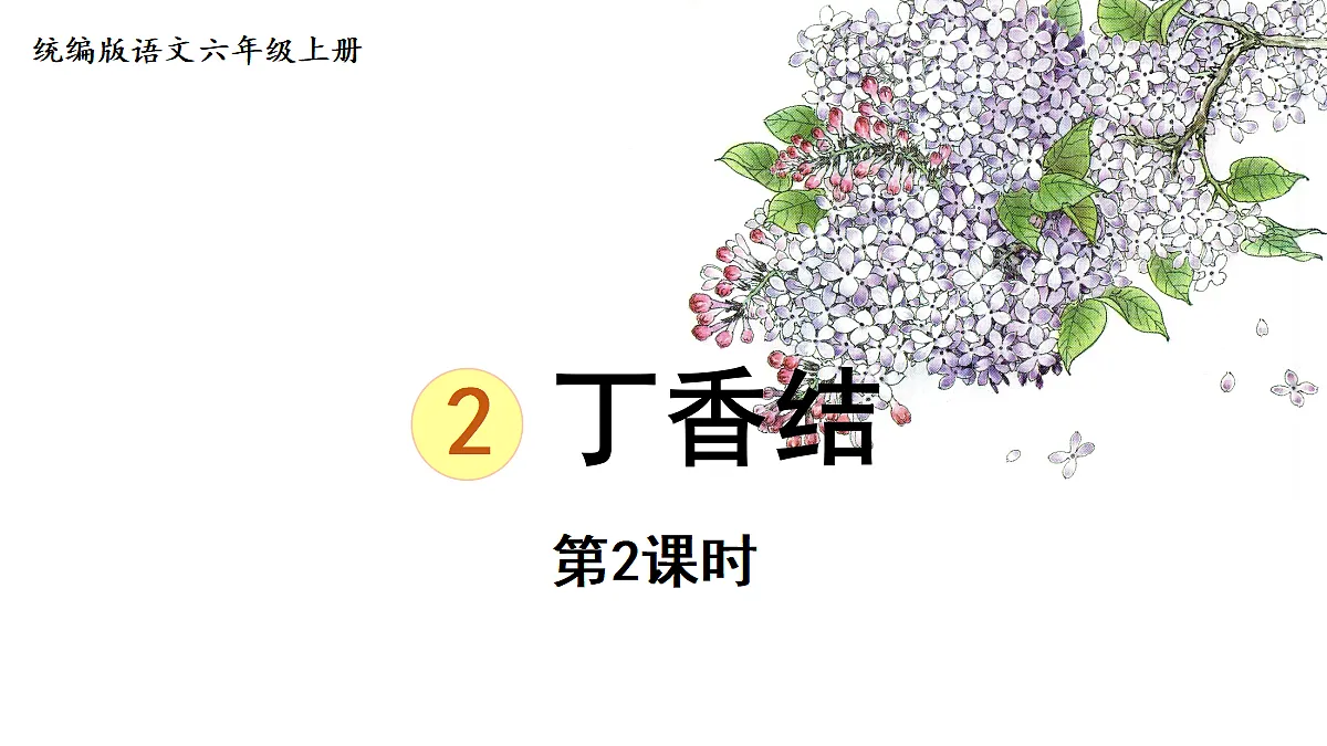 【教学课件】2.丁香结 第2课时第1页