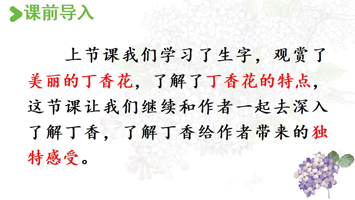 【教学课件】2.丁香结 第2课时第2页