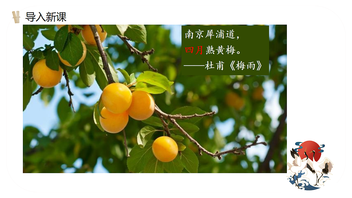 18667965第4页