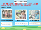 第1课 法律是什么 第2课时 课件（内嵌视频）2026-2027学年道德与法治六年级上册统编版