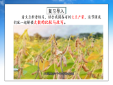 最新版北师大版四年级上册数学《1.5大豆产量》课件