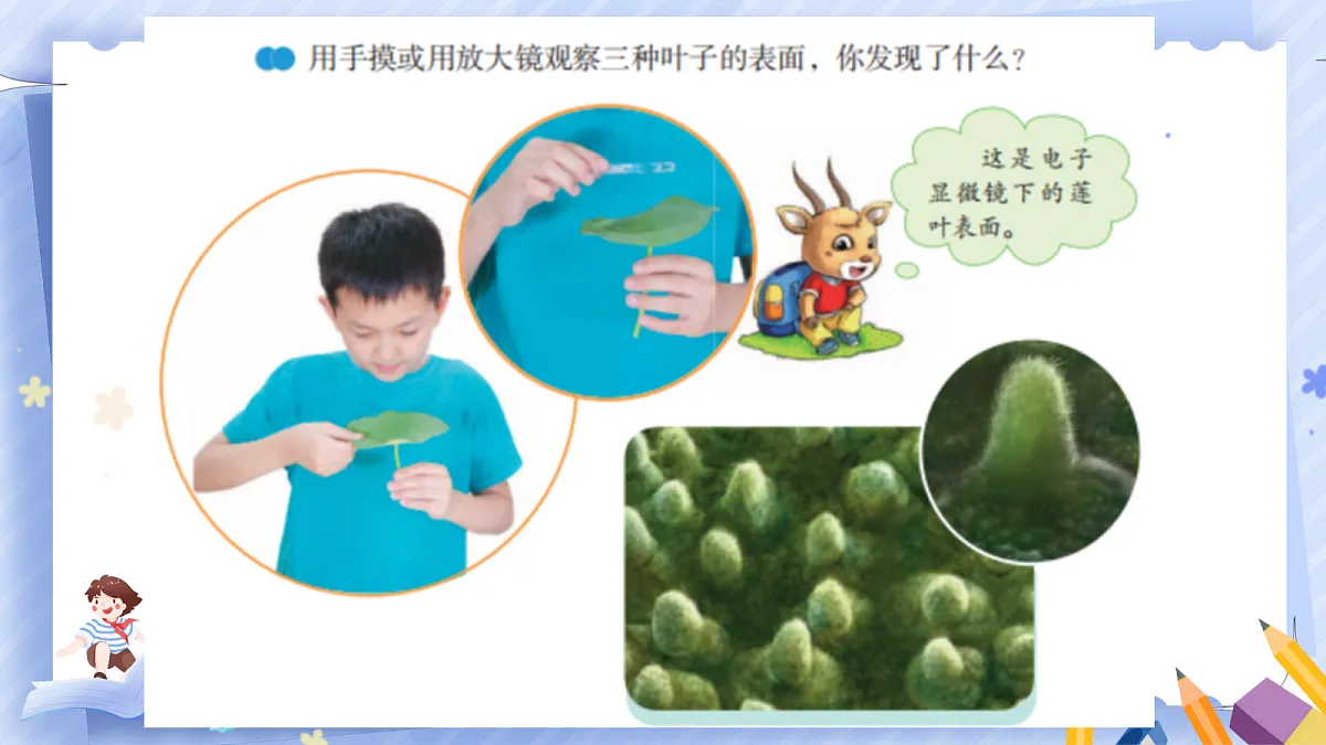 18671324第5页