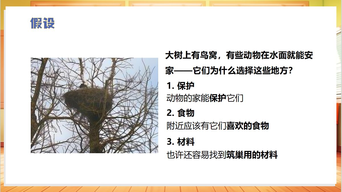 3.2 寻访动物的家（教学课件）科学大象版四年级上册（新教材）第7页